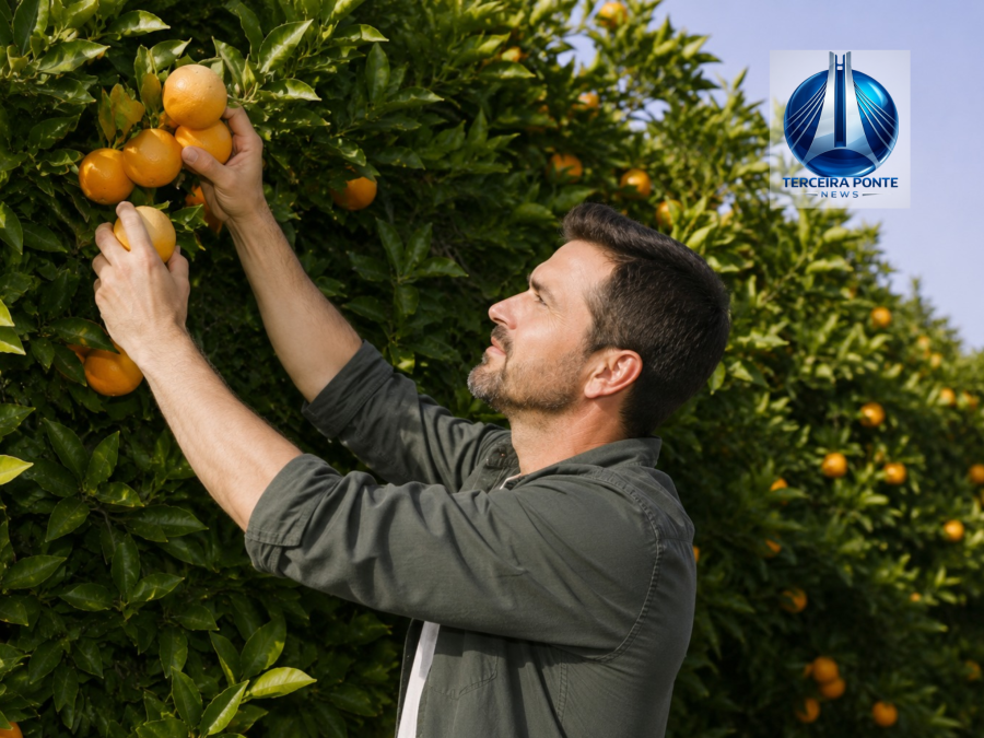 Dia do Citricultor destaca a importância dos produtores de laranja, limão e tangerina no Espírito Santo