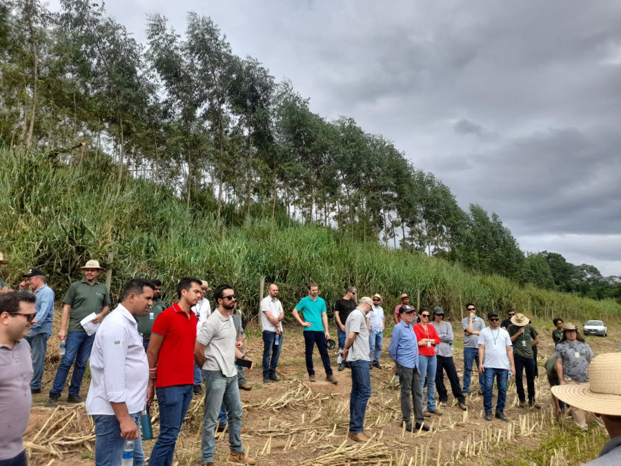Capacitação prepara técnicos para utilização de ferramenta de sustentabilidade na pecuária leiteira capixaba