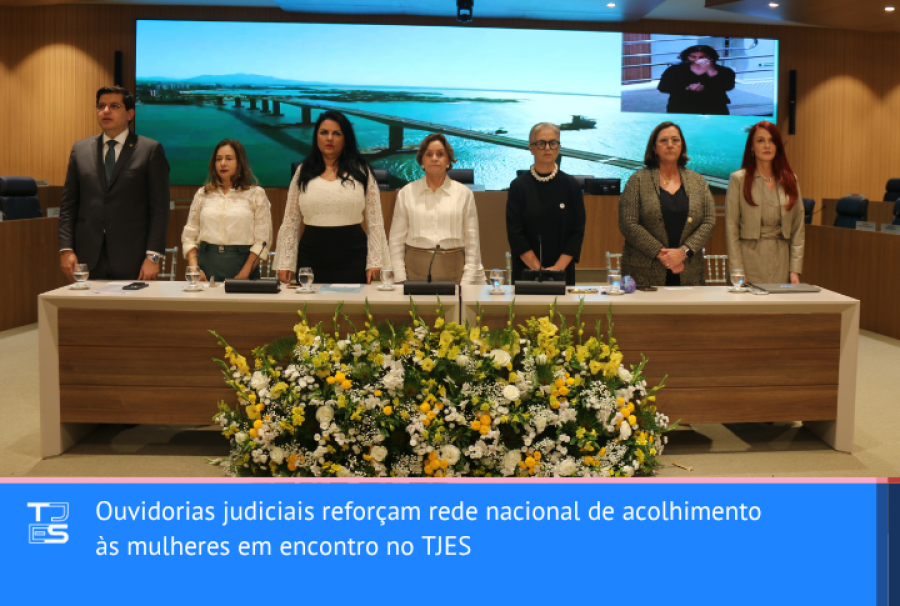 OUVIDORIAS JUDICIAIS REFORÇAM REDE NACIONAL DE ACOLHIMENTO ÀS MULHERES EM ENCONTRO NO TJES