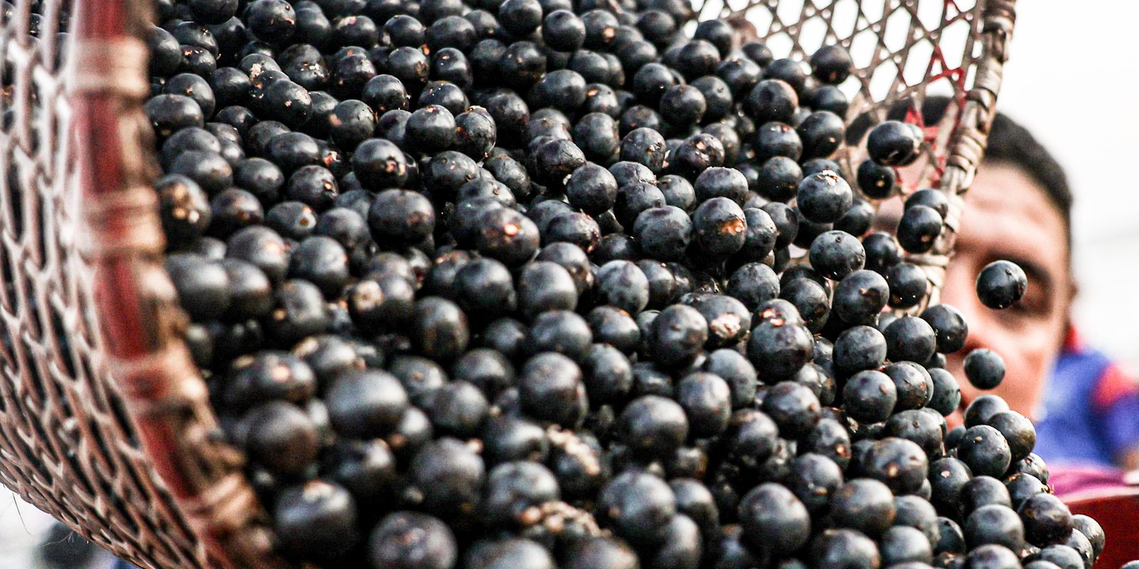 China facilita exportação de polpas e frutas congeladas brasileiras