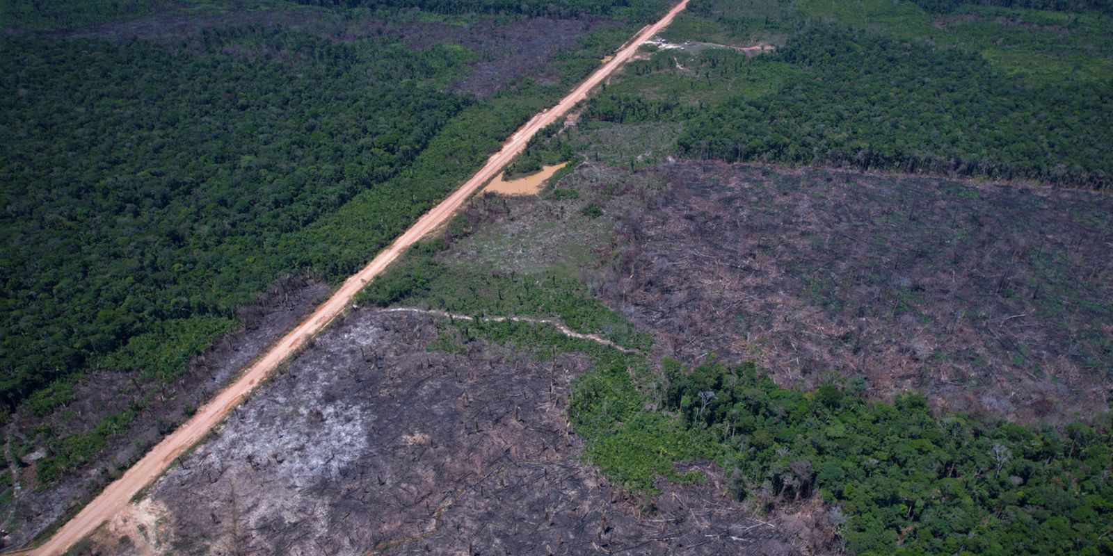 Eco Invest Brasil promove quinto leilão para financiar inovação